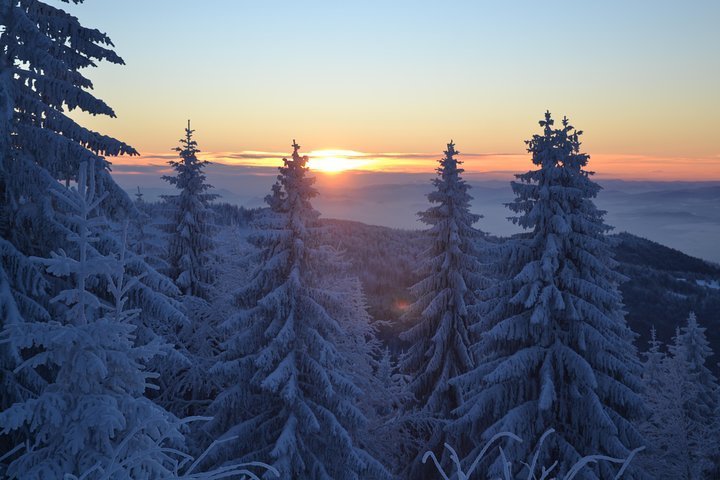 2024 Turbacz: Hiking Trip To Highest Mountain Of Gorce (Krakow)