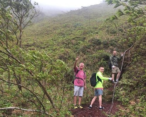 st vincent island tour