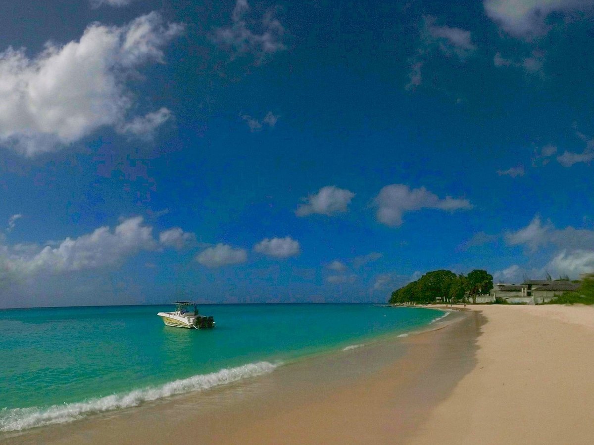 Barbados Excursions Catamaran Turtle Snorkeling Tour Bridgetown