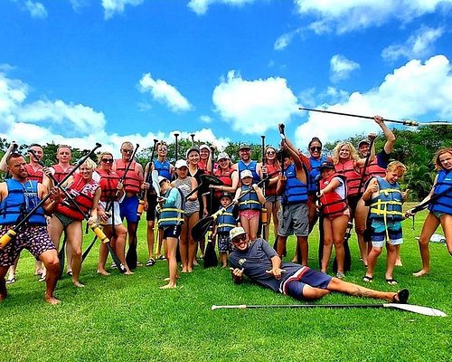 city bus tour hawaii