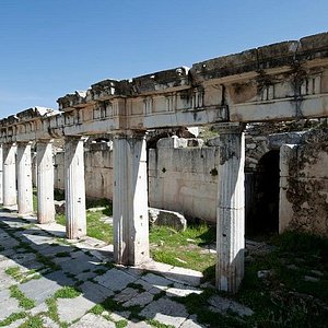 アフロディシアス 口コミ 写真 地図 情報 トリップアドバイザー アフロディシアス 口コミ 写真 地図 情報 トリップアドバイザー