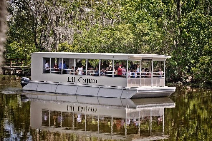 bayou swamp boat tour