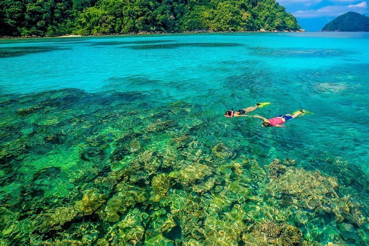 2024 Surin Islands Snorkel Tour by SeaStar Andaman from Phuket