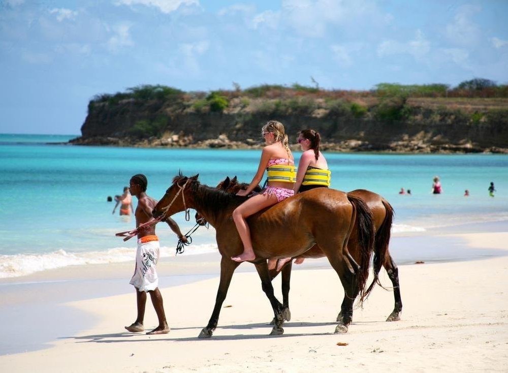 THE 10 BEST Antigua Taxis & Shuttles - Tripadvisor