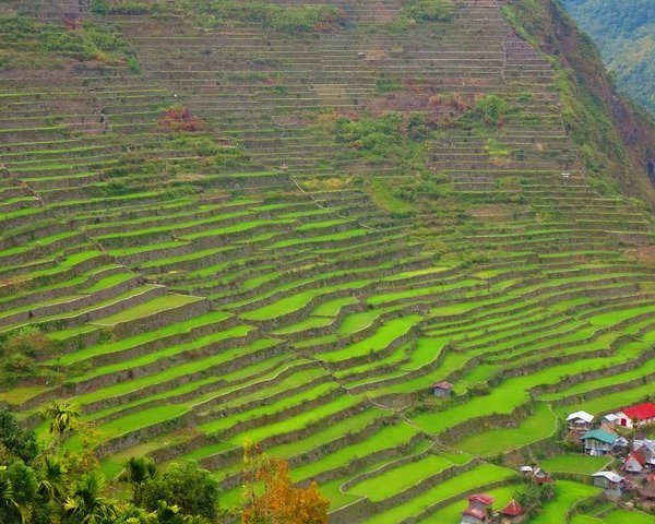 Batad Rice Terraces Banaue All You Need To Know Before You Go 2219