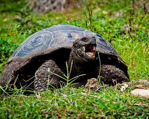 galapagos islands hiking tours