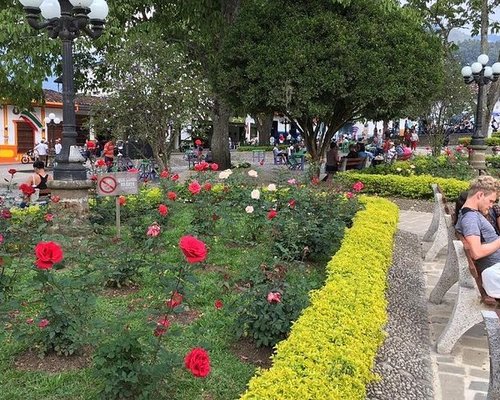 Armenia, Quindio Botanical Garden and Coffee Farm Private Tour 2023