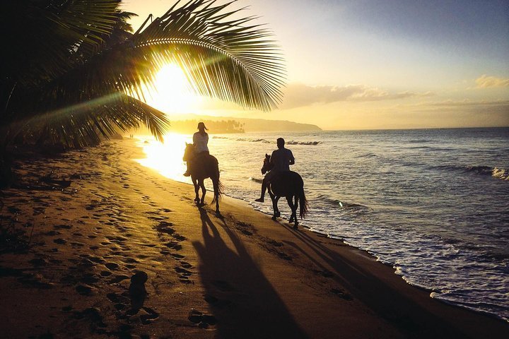 horseback riding on beach cancun