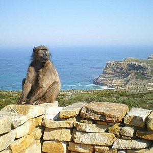 Redundant Departure connect TABLE MOUNTAIN (Table Mountain National Park) - All You Need to Know BEFORE You Go Redundant Departure connect TABLE MOUNTAIN (Table Mountain National Park) - All You Need to Know BEFORE You Go