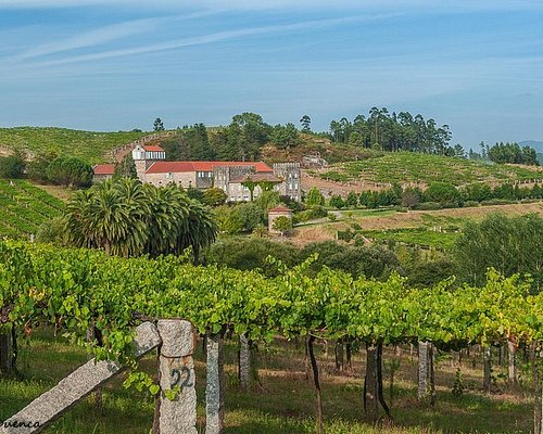 galicia wine tours
