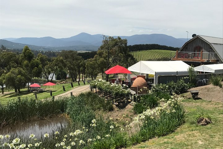 2023 Private Yarra Valley Tour Provided By Victorian Bus Charters