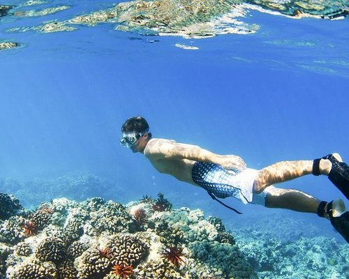 Snorkeling Di Bali – Newstempo