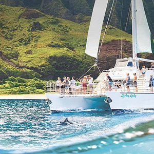 blue dolphin tour kauai