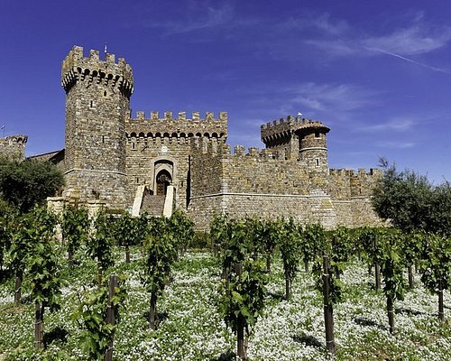 napa valley vineyard tours