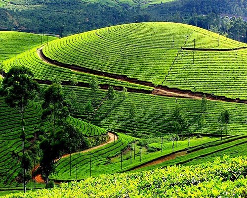 tour package of kerala