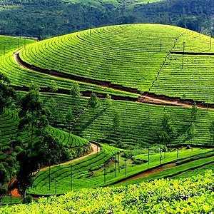 10 Places to Visit in Kerala - UPDATED 2023 (with Photos & Reviews) - Tripadvisor
