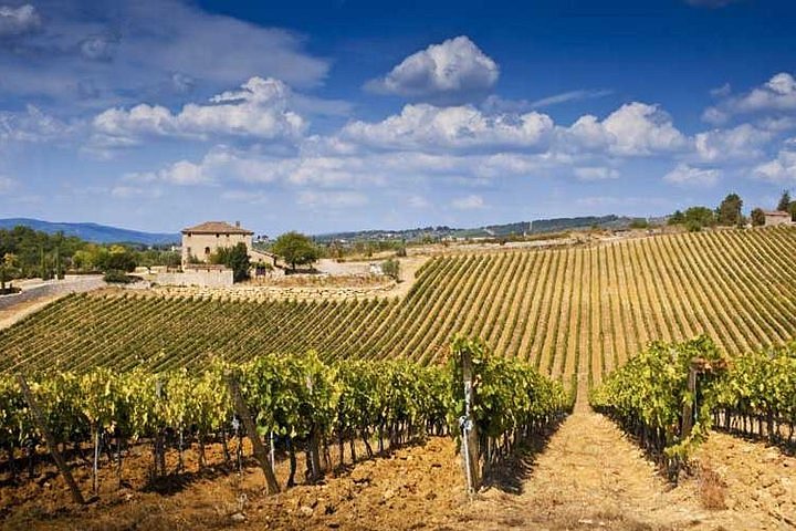 greve chianti wine tours