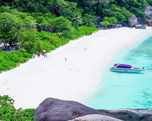 similan island private tour