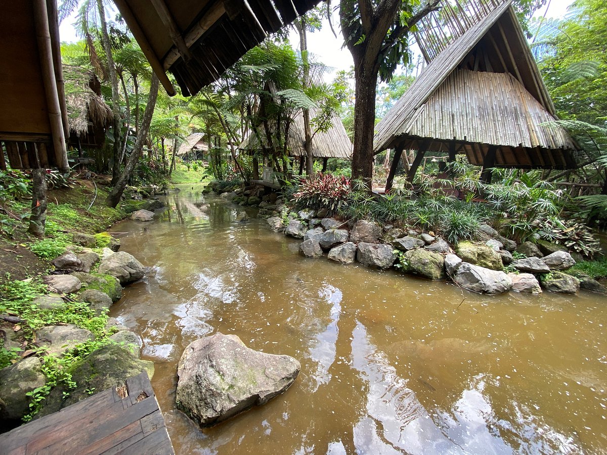 Sapu Lidi Makan Di Sawah Bandung Ulasan Restoran Tripadvisor 0421