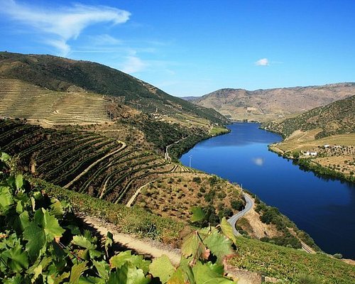 portugal wine tours