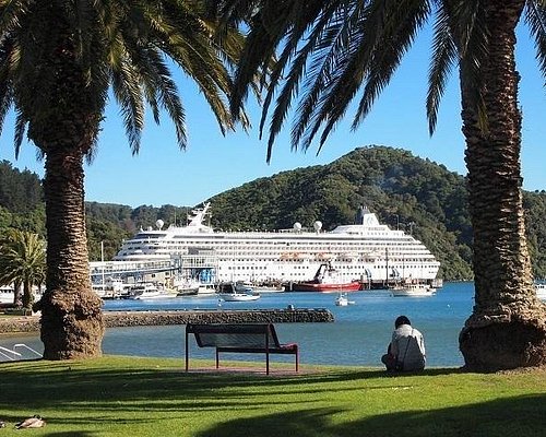 tours from picton nz