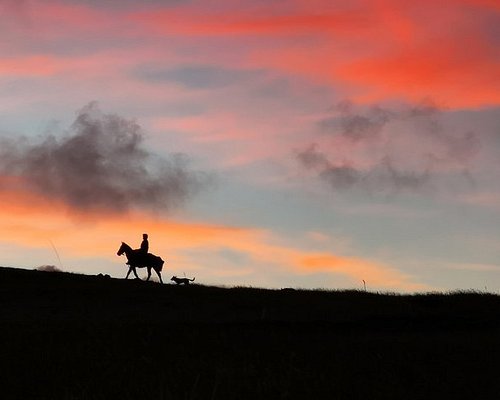 easter island tours from canada