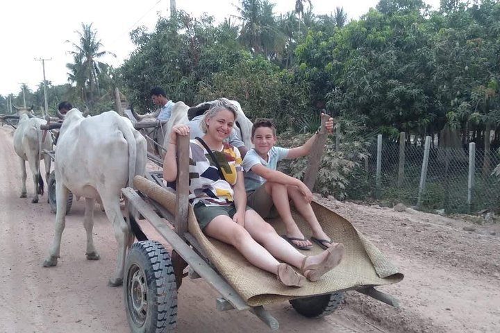 2024 Ox Cart Ride of Rural Cambodia (Siem Reap) - Tripadvisor