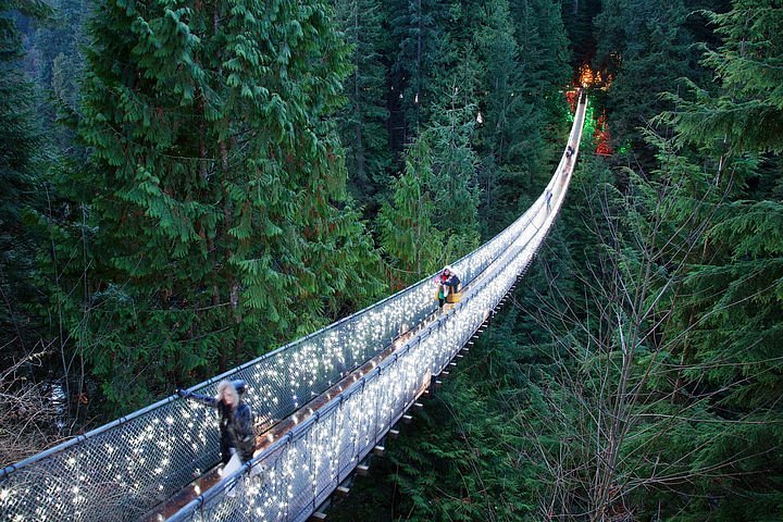 øverste hak Det er billigt Paradoks 2023 Vancouver City and Capilano Suspension Bridge Canyon Lights Tour