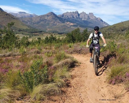 THE 10 BEST Cape Town Bike Tours (with Prices) - Tripadvisor