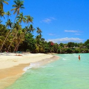 The 10 Best Bohol Island Tours For 2021 (with Prices) - Tripadvisor