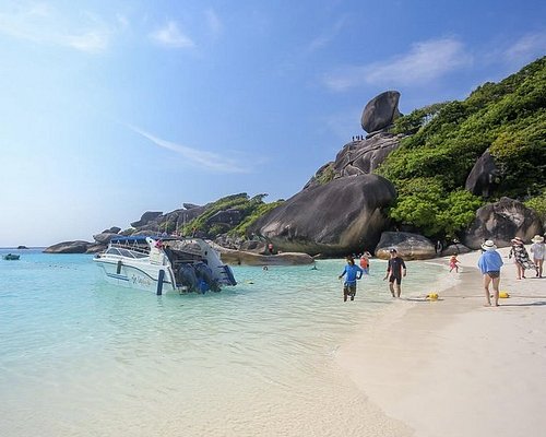 similan snorkel trip