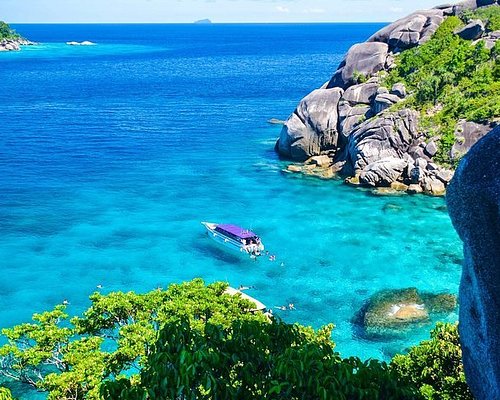 similan snorkel trip