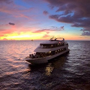 yacht starship cruises & events tampa reviews
