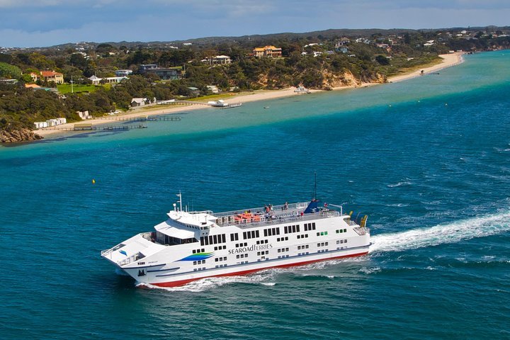 THE 10 BEST Things To Do In Geelong & Bellarine - Tripadvisor