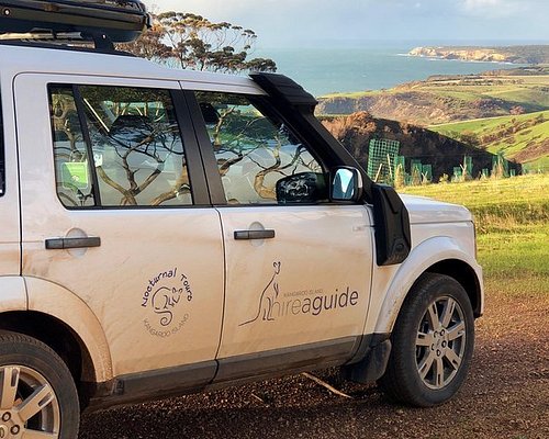 kangaroo island 4 wheel drive tours