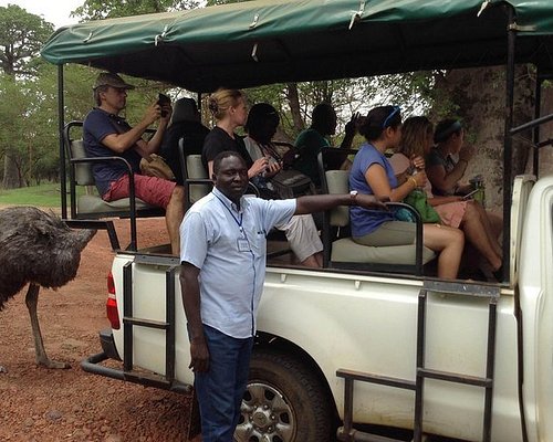 senegal wildlife tour