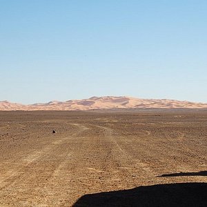 Desert crossing