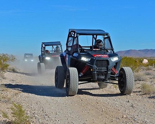 Mojave Desert Activities for Las Vegas Homeowners