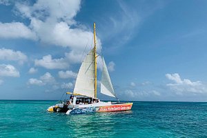 The 10 Best Aruba Tours Tripadvisor