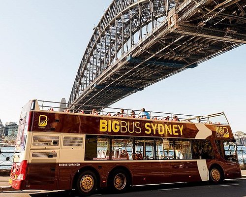 sydney hop on tourist bus