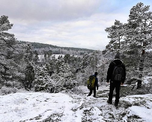 day trips from stockholm hiking