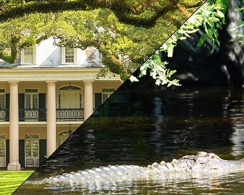 new orleans eco tours