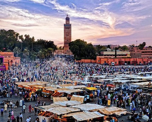 day trips in marrakech