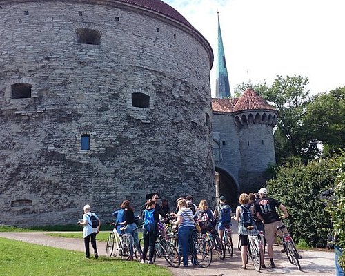tour travel estonia