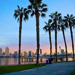 San Diego Party Tours - All You Need to Know BEFORE You Go (2024) -  Tripadvisor