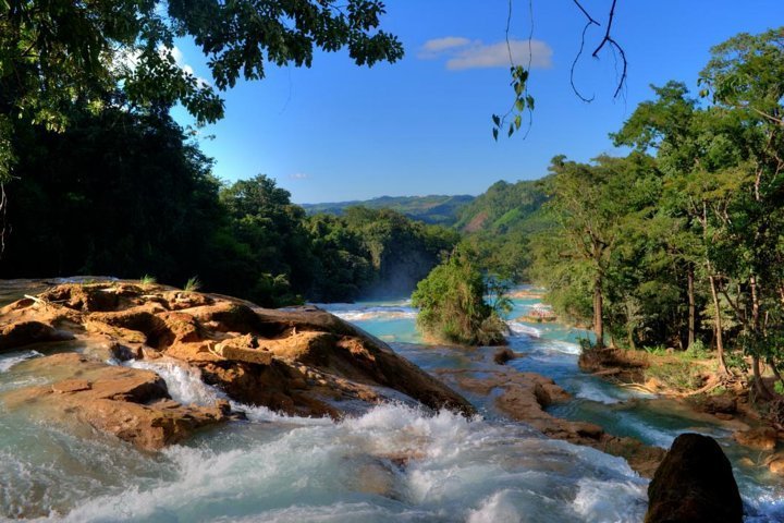 JUNGLE PALACE (PALENQUE, MÉXICO): 57 fotos e avaliações - Tripadvisor