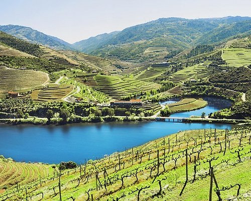 DIE TOP 10 Wein- und kulinarische Touren in Sabrosa (2024)