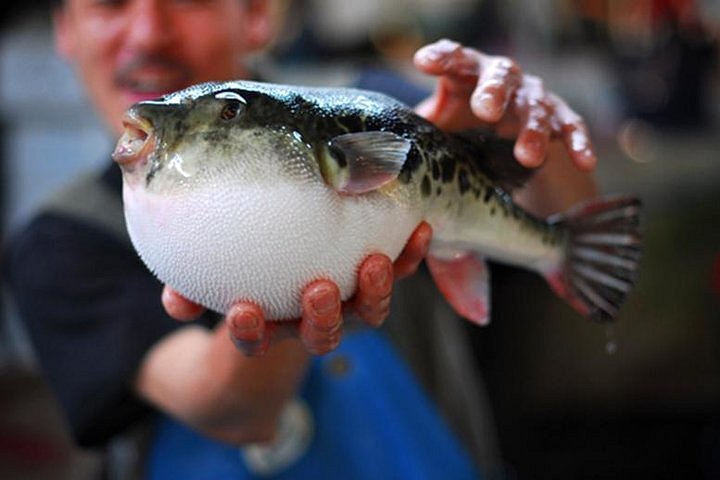 Adventurous Japanese Food Tour Minato Japan Adventurous Japanese Food Tour Minato Japan