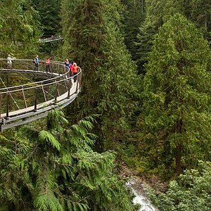 surrey bc tourist attractions