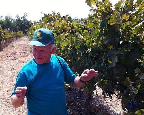 israel winery tours